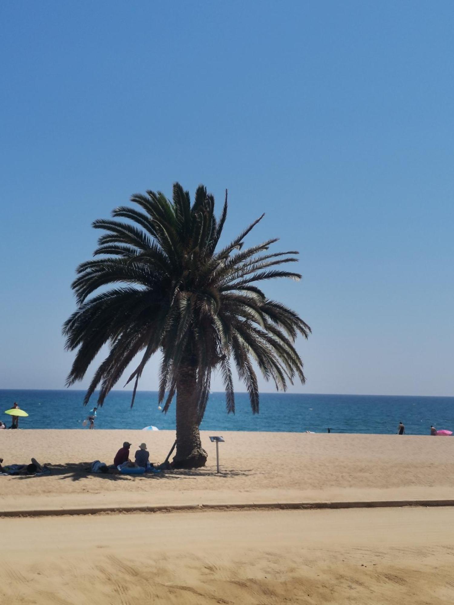 Apartamento Centrico En Calella Exterior photo